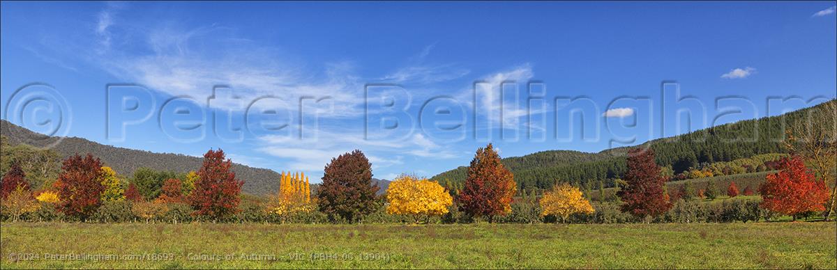Peter Bellingham Photography Colours of Autumn - VIC (PBH4 00 13904)